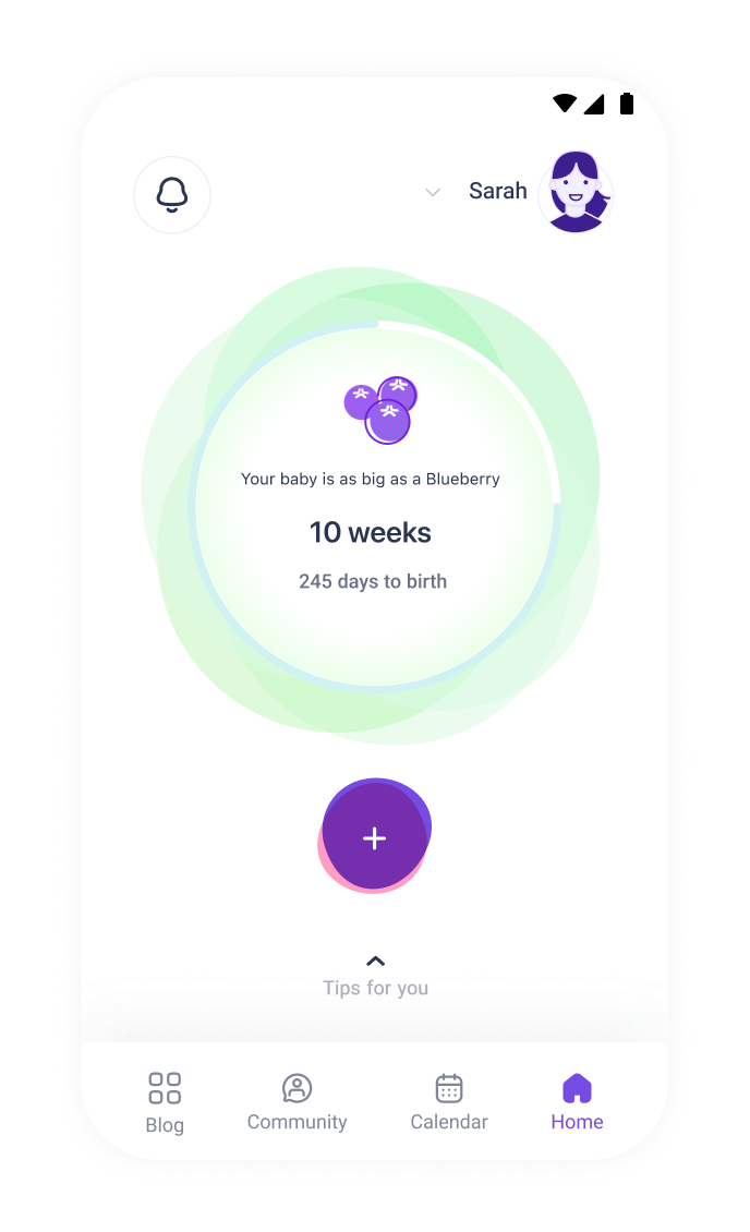 shero pregnancy mod